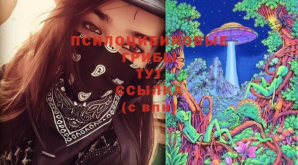 таблы Пересвет