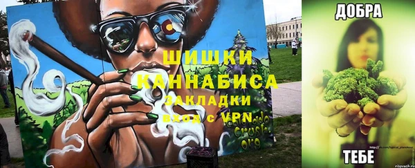 стаф Балахна