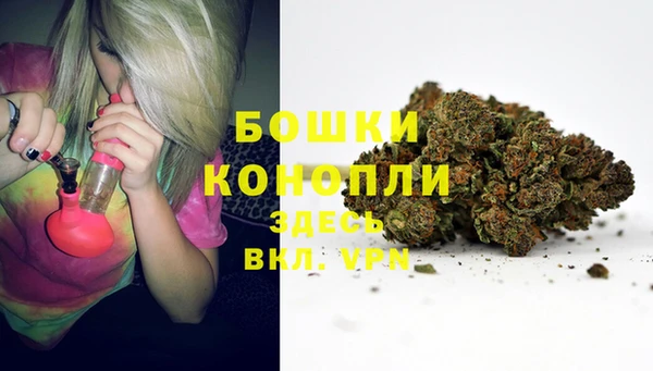 стаф Балахна